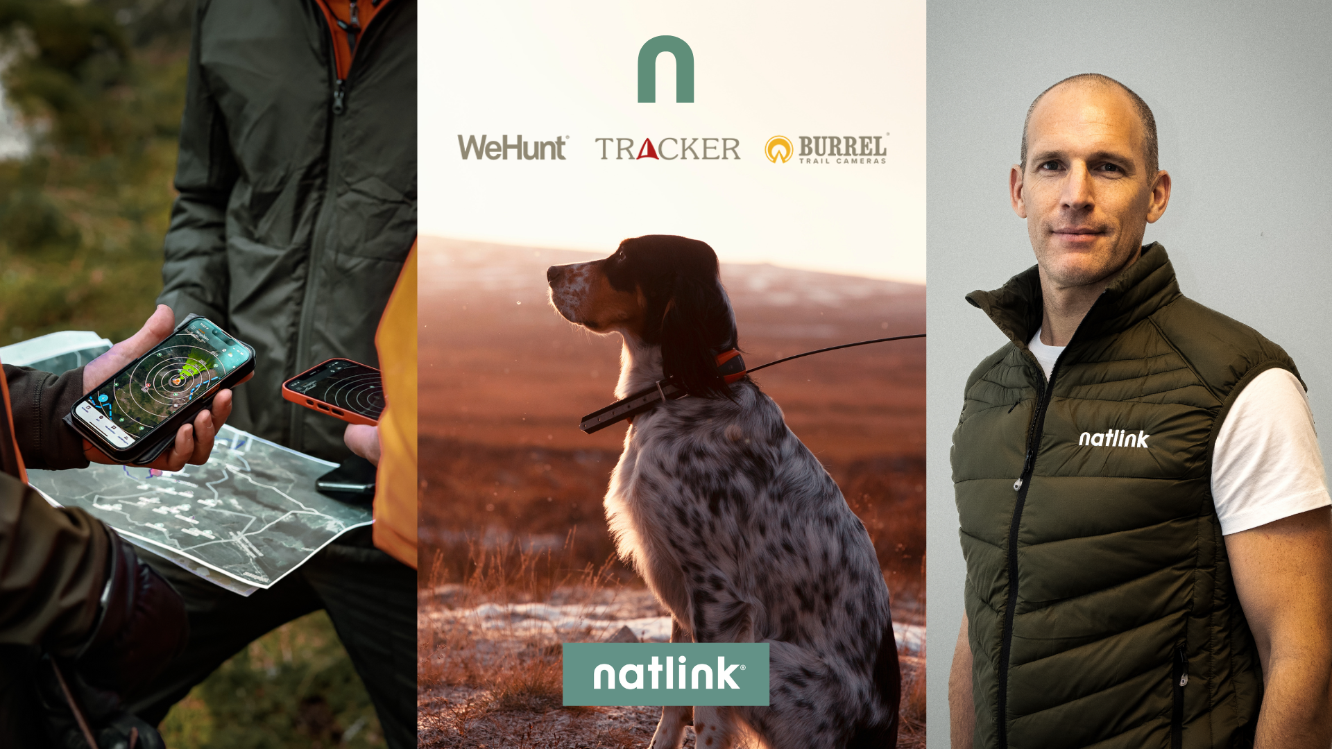 Natlink